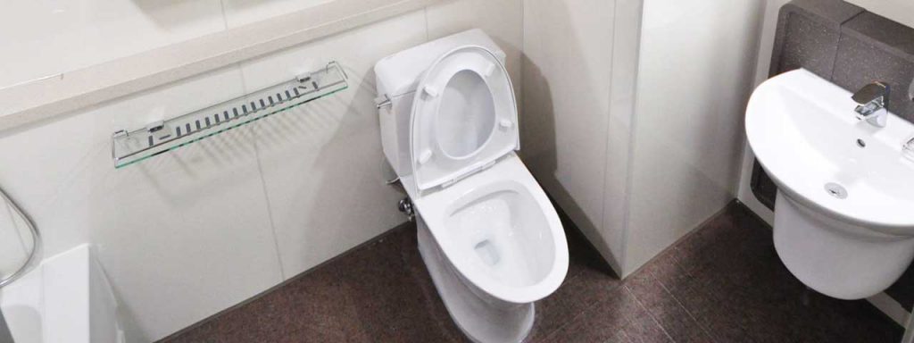 Photo of a successful Blocked Toilet Repair in Melbourne